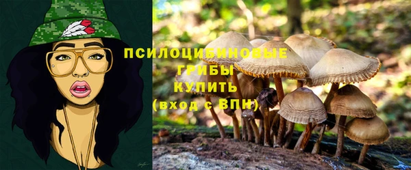 экстази Баксан